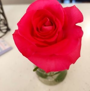 Meet your Posher, Suzanne